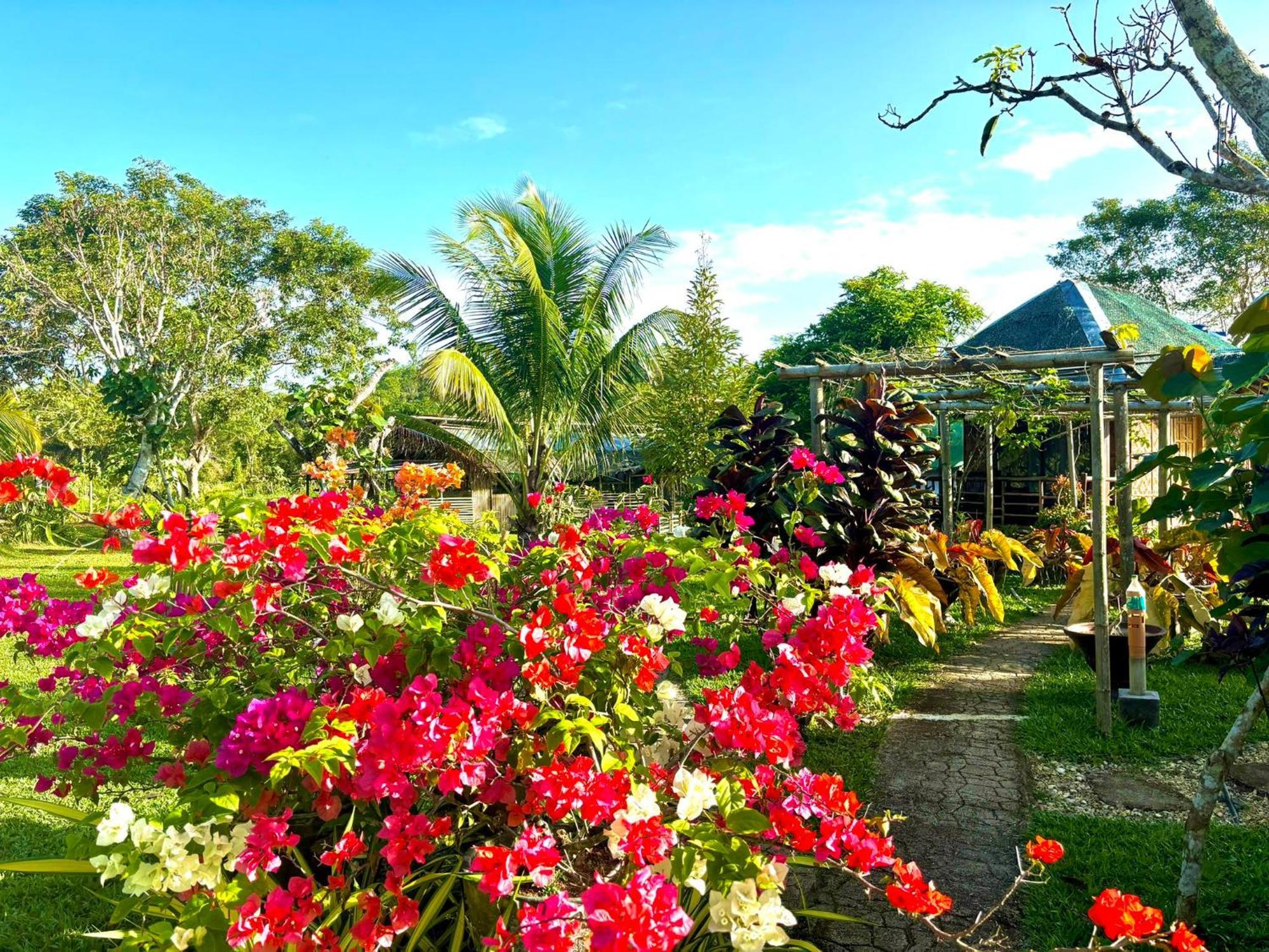Hotel Camelo Farm Bilar Exterior foto